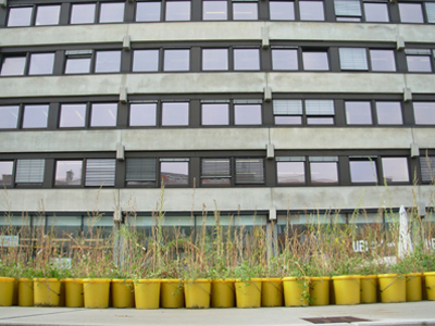 11_Lois Weinberger_Garten.JPG